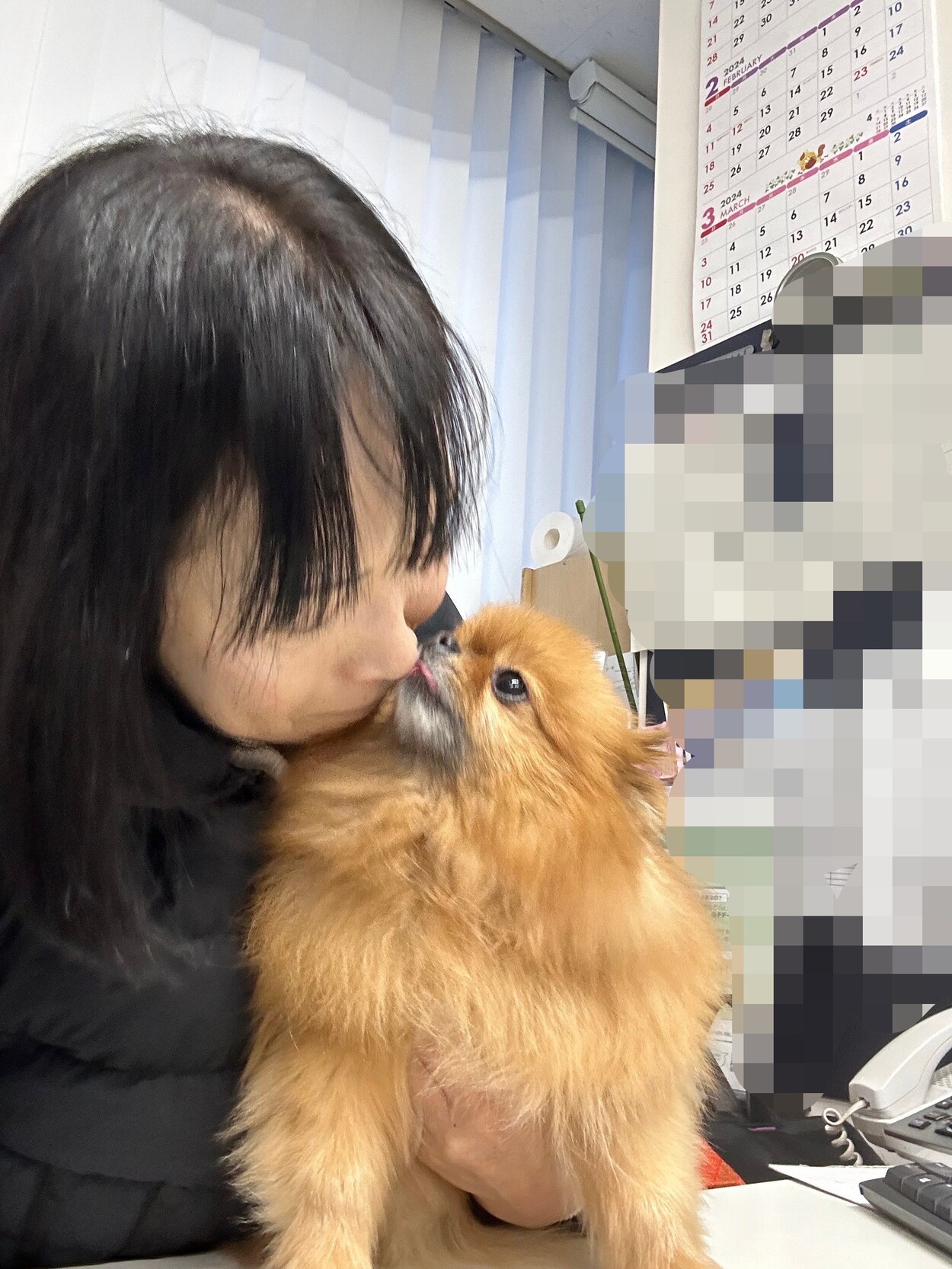 太田硝子店の看板犬ロコちゃん