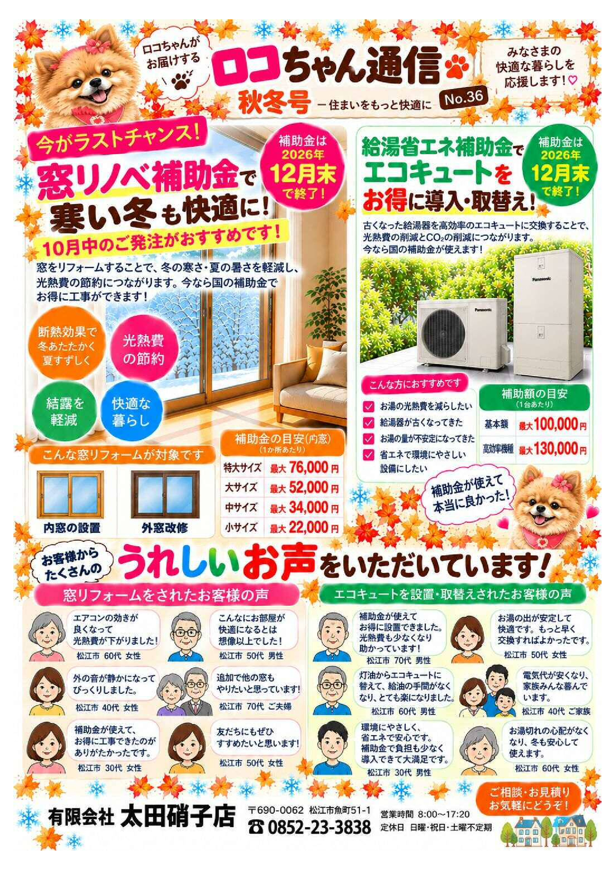 ロコちゃん通信
