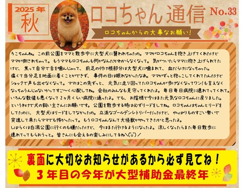 ロコちゃん通信