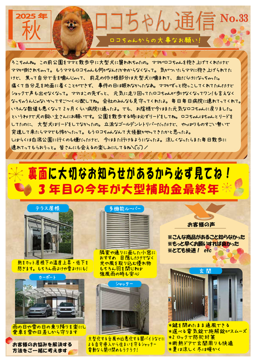 ロコちゃん通信