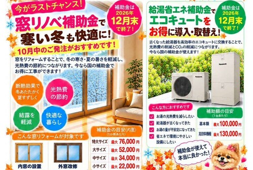 ロコちゃん通信